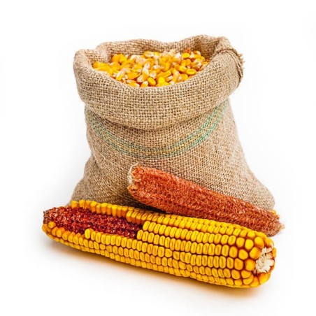 Porumb Boabe / Mălai 30kg