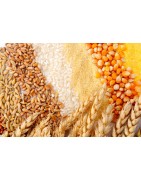 Materii Prime / Cereale