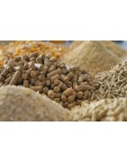 Amestecuri Furajere și Furaje Combinate | Nutriție Gata de Utilizat